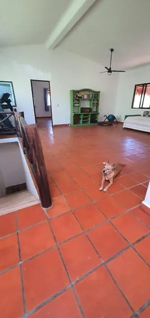 El Rincon Verde Playa del Carmen Holiday home